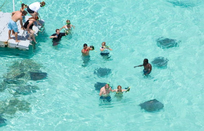 Avistamento de arraias em Stingray City Antigua - Foto 3