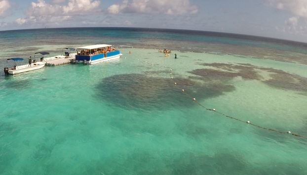Avistamento de arraias em Stingray City Antigua - Foto 2