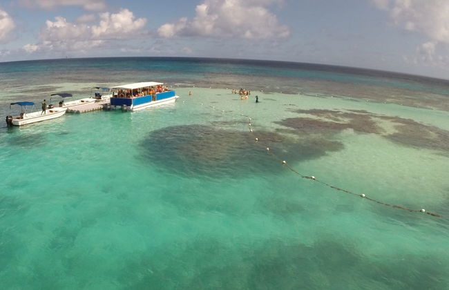 Avistamento de arraias em Stingray City Antigua - Foto 2