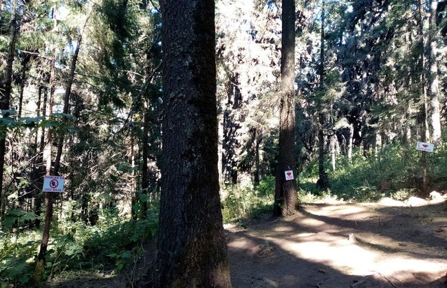 Valle de Bravo & Monarch Butterfly Excursion - Foto 3