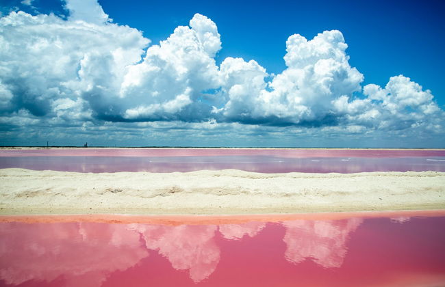 Excursion à Las Coloradas - Photo 4