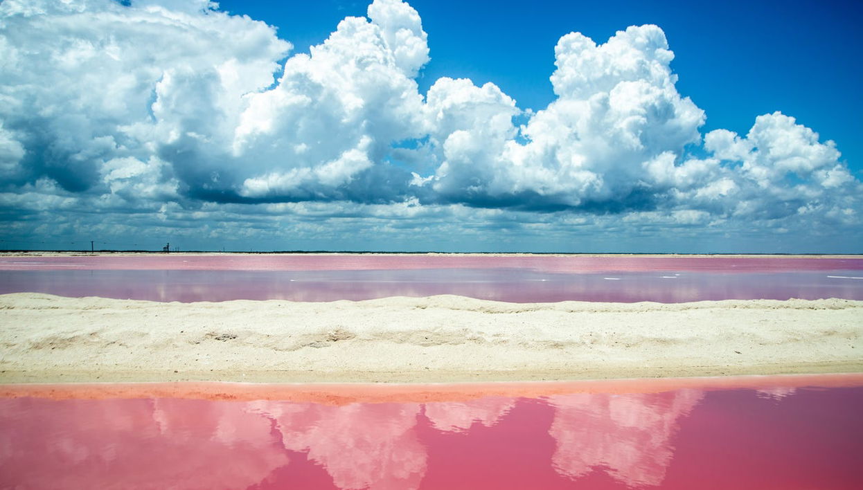 Escursione a Las Coloradas e al fiume Lagartos - Foto 1