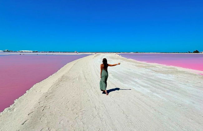 Excursion à Las Coloradas - Photo 9