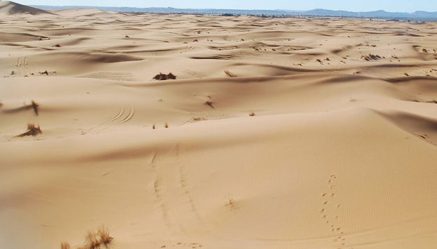 Merzouga Desert Buggy Tour - Photo 3