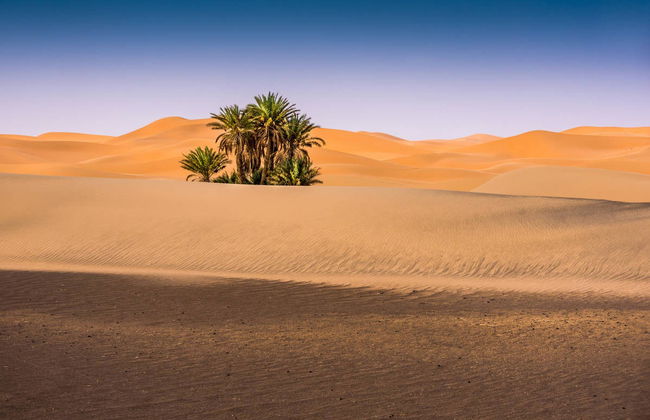 Tour en buggy por el desierto de Merzouga - Foto 7