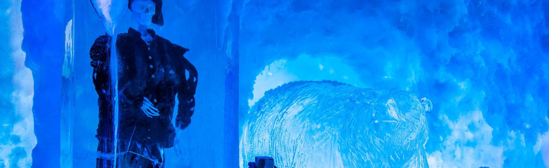 Entrada al Icebar Xtracold - Foto 1