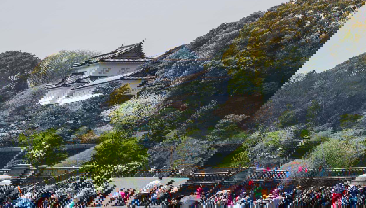 Tour panoramico di Tokyo - Foto 1