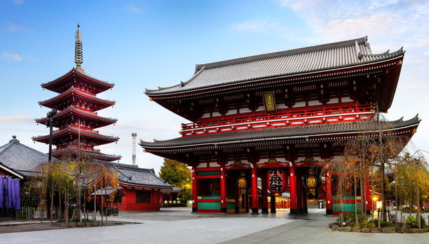 Tour de Tokio al completo - Foto 3