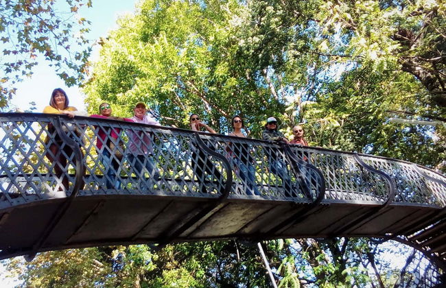 Tour por Coghlan - Foto 6