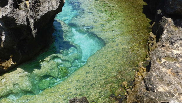 Excursão a Nusa Penida - Foto 4