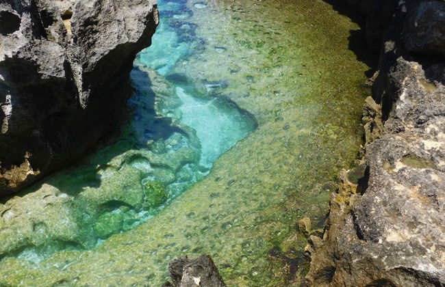 Excursion à Nusa Penida - Photo 4