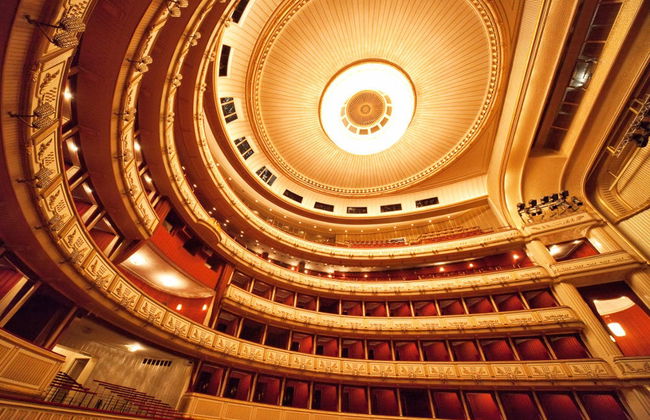 Tour di Vienna + Opera di Stato - Foto 1