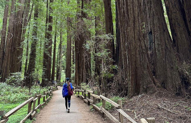 Excursión a Muir Woods y Sausalito - Foto 6