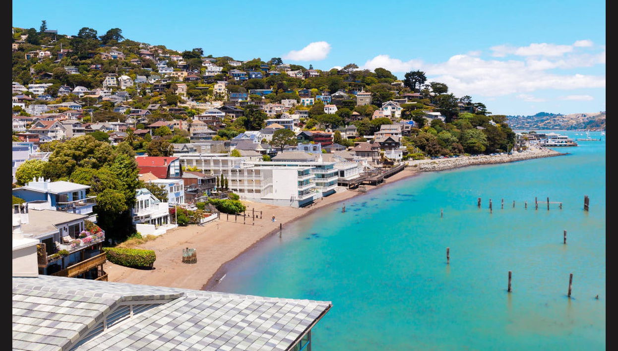 Excursion à Muir Woods & Sausalito - Photo 1