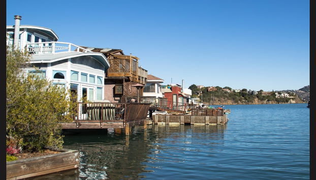 Excursion à Muir Woods & Sausalito - Photo 5