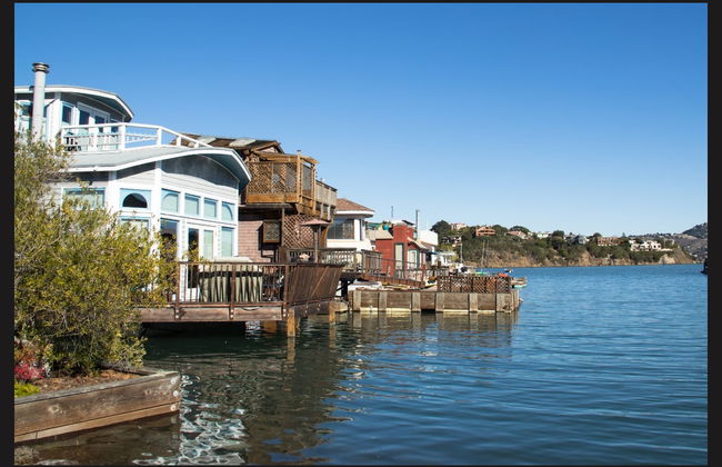 Excursão a Muir Woods e Sausalito - Foto 5