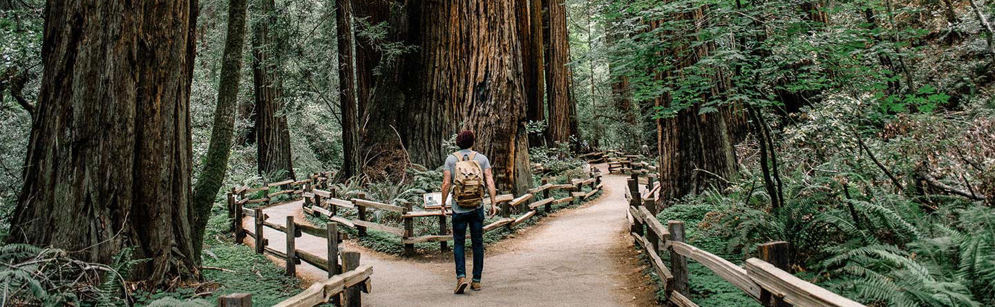 Excursión a Muir Woods y Sausalito - Foto 1