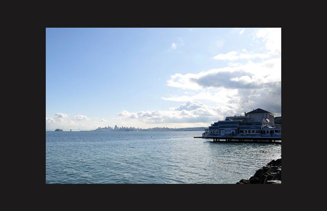 Excursão a Muir Woods e Sausalito - Foto 2