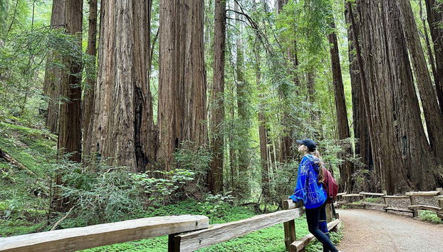 Muir Woods & Sausalito Tour - Foto 3