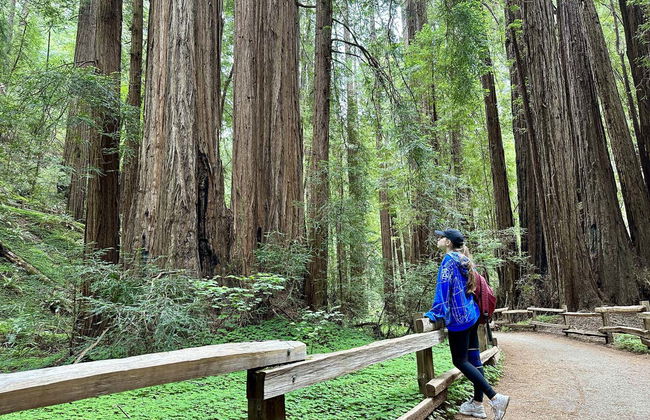 Excursión a Muir Woods y Sausalito - Foto 3