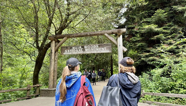 Muir Woods & Sausalito Tour - Foto 5