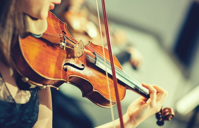 Concerto di musica classica nella Chiesa di San Pietro - Foto 5
