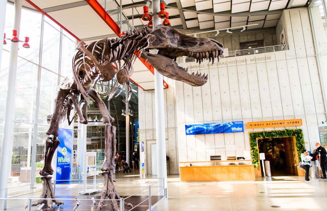 Ingresso da Academia de Ciências da Califórnia - Foto 1