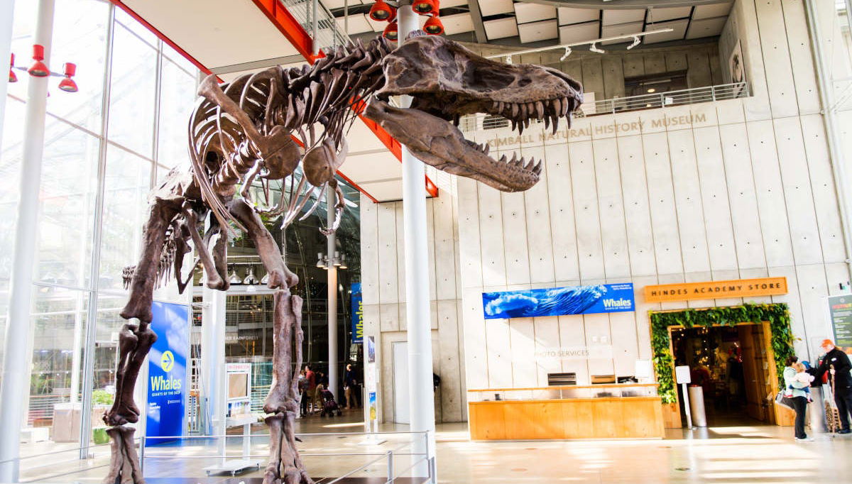 Billet pour l’Académie des Sciences de Californie - Photo 1