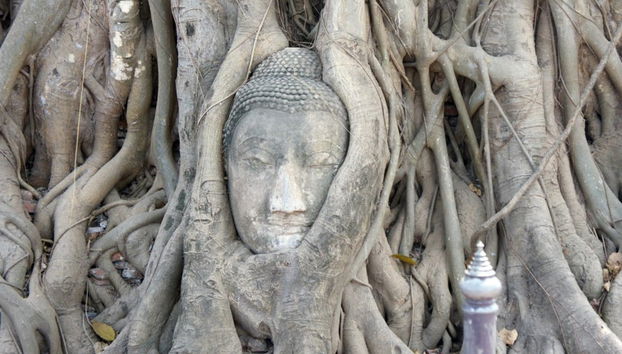 Circuito de 5 días desde Bangkok hasta Chiang Mai - Photo 2