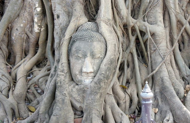 Circuito de 5 días desde Bangkok hasta Chiang Mai - Photo 2