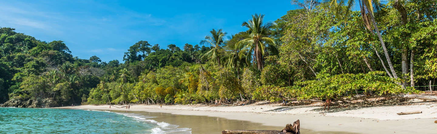 Excursion au Parc National Manuel Antonio - Photo 1