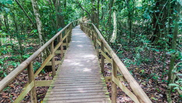 Excursión al Parque Nacional Manuel Antonio - Foto 3