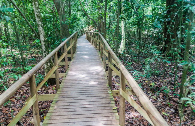 Excursión al Parque Nacional Manuel Antonio - Foto 3