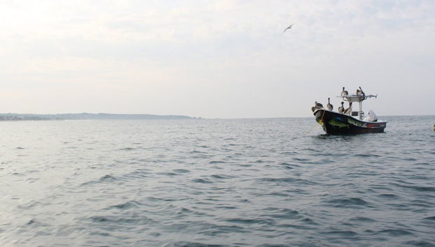 Visita guiada por Puerto Escondido - Foto 2