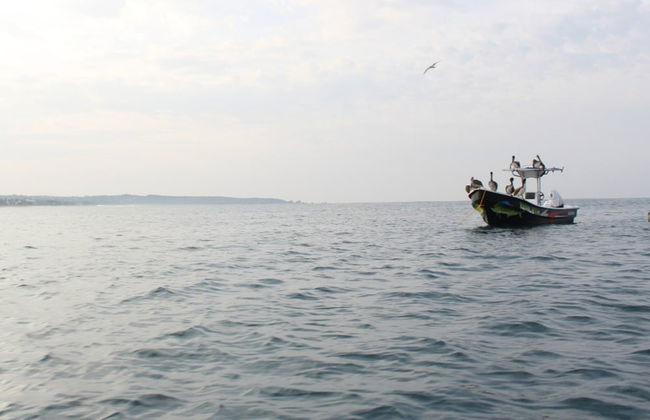 Guided Tour of Puerto Escondido - Photo 2