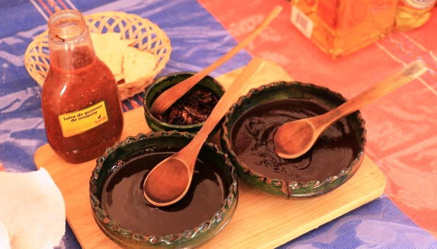 Visita guiada por Puerto Escondido - Foto 4