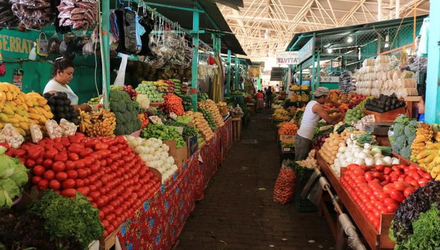 Visita guidata di Puerto Escondido - Foto 3