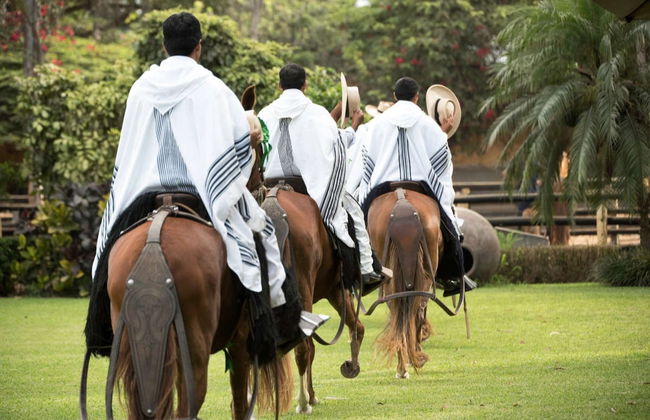 Espectáculo de marinera con caballos peruanos de paso - Foto 6