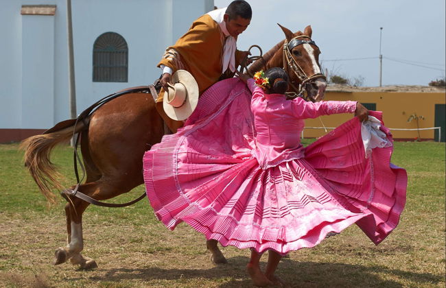 Espectáculo de marinera con caballos peruanos de paso - Foto 4