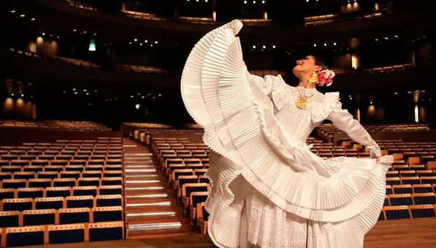 Espectáculo de marinera con caballos peruanos de paso - Foto 5