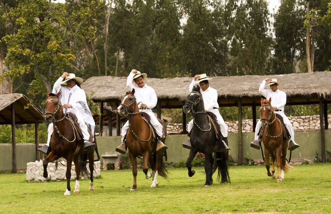 Espectáculo de marinera con caballos peruanos de paso - Foto 1