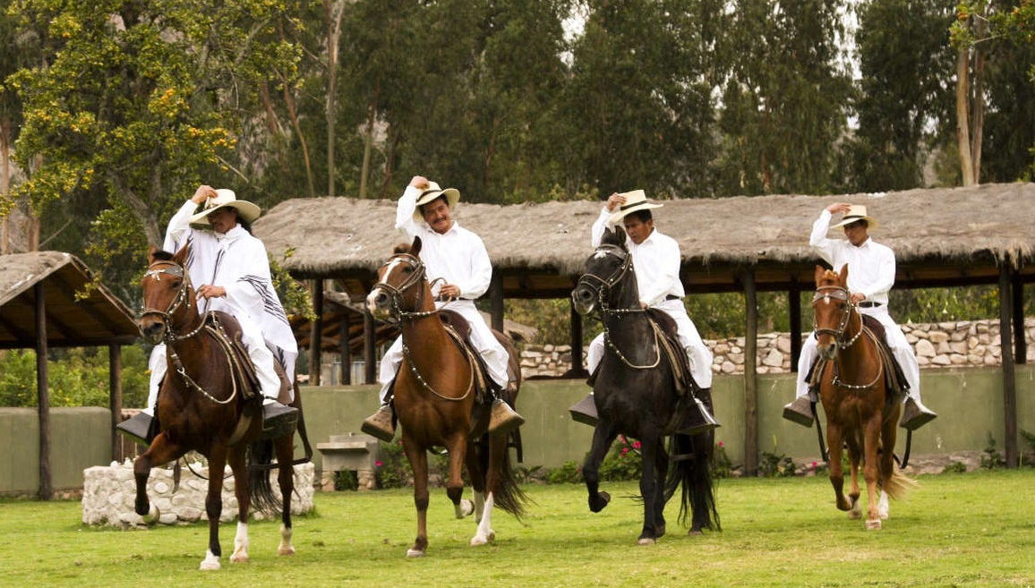 Espectáculo de marinera con caballos peruanos de paso - Foto 1