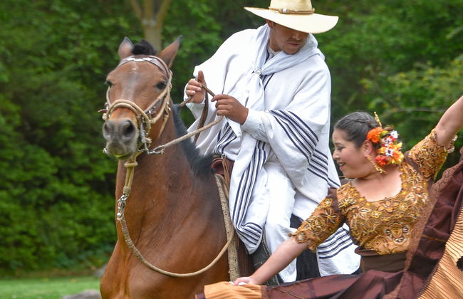 Marinera Show with Peruvian Paso Horses - Photo 3