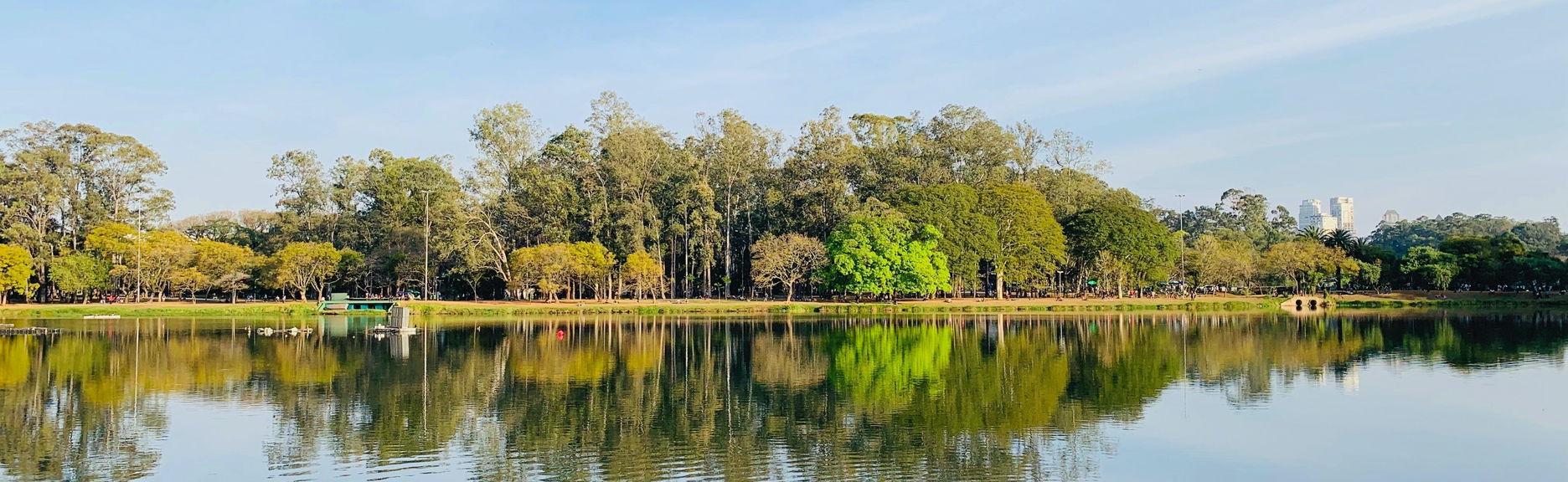 Visite du parc Ibirapuera - Photo 1