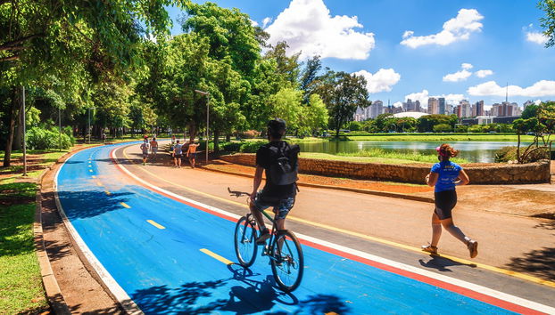 Ibirapuera Park Tour - Foto 4