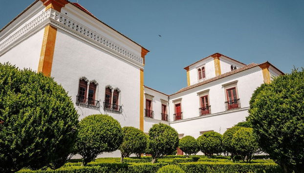 National Palace of Sintra & Gardens - Foto 3
