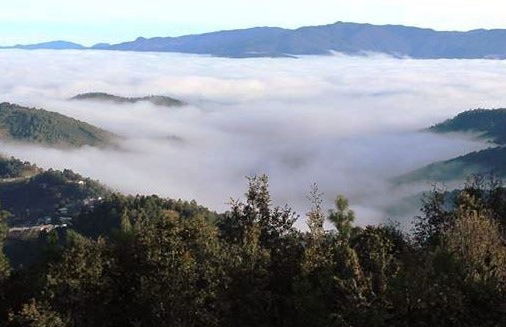 Tour de 2 días por el valle de Oaxaca - Foto 6