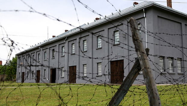 Escursione a Nis - Foto 3