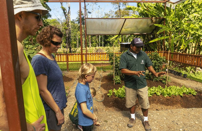 Quepos Food Tour & Cooking Class - Photo 6