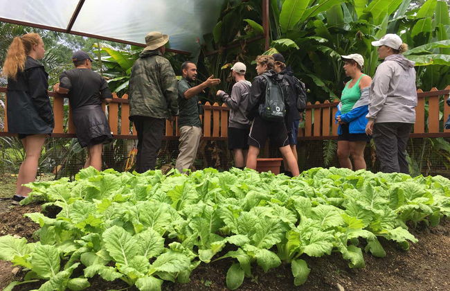 Quepos Food Tour & Cooking Class - Photo 9